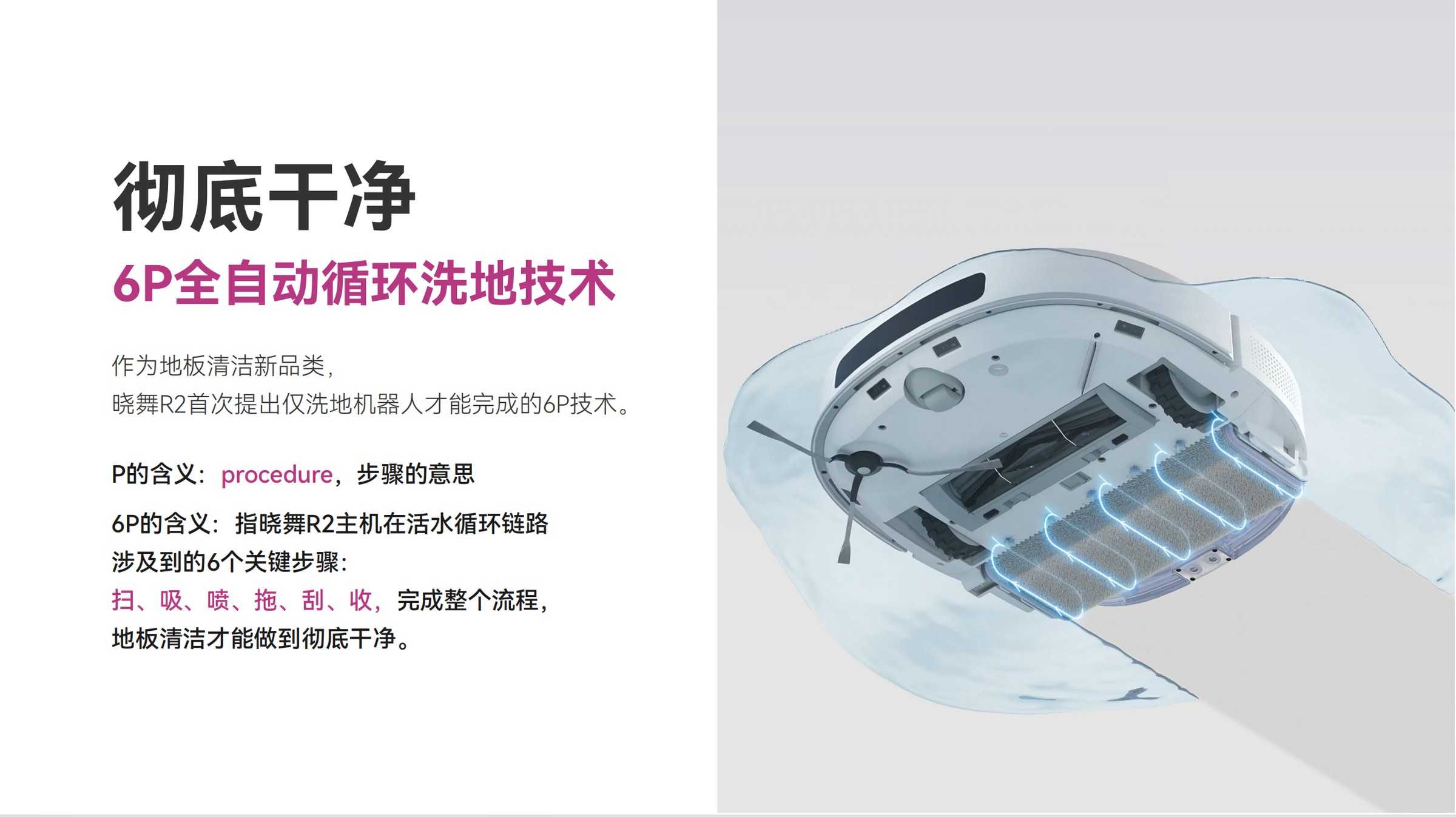 结构与功能可视化。